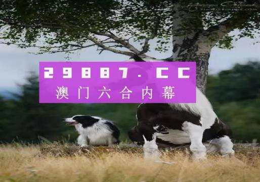 探索全新体验，7777788888新版跑狗