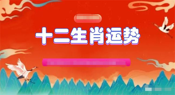 精准一肖一码一子一中，揭示背后的风险与警示