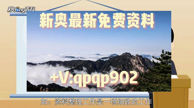 2024年正版资料免费大全视频，探索与启示