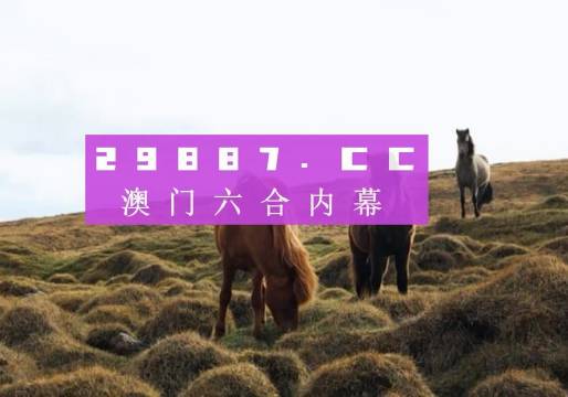 澳门4949开奖现场直播，揭开彩票背后的神秘面纱