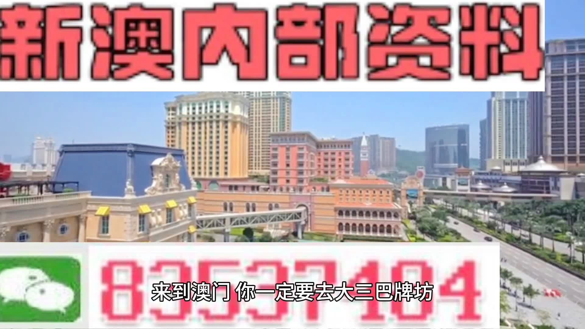 2024新澳最精准资料大全详解