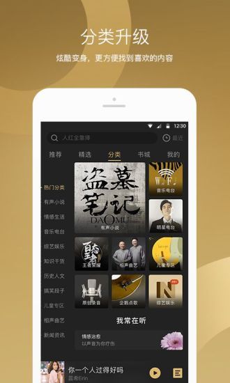 企鹅FM，音频娱乐的新纪元