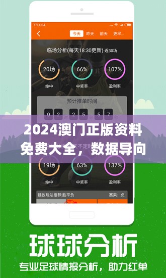 澳门王中王100%期期中一期，揭示背后的真相与风险警示